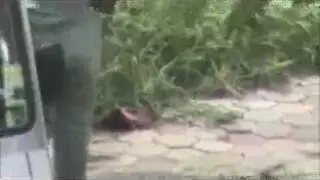 أفلام بورن صريحة: فيفي عبدة تُمارس الجنس بشكل متحرك