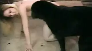 سكس حيوانات الكلب البنت في كسها