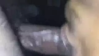شرطة الديك الكبير خنثى
