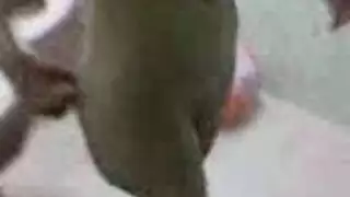 حركة حصرية على كاميرا الويب: مص قضيب وتدليل فرج