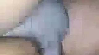 الهرة الكبيرة أسود