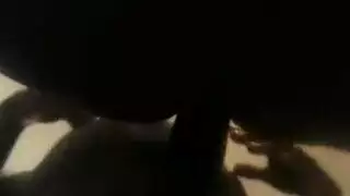 قضبان سوداء كبيرة على أهبة الاستعداد، تكشف عن توقيتها المثالي