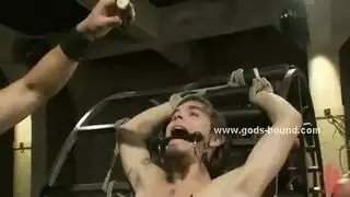إدخال صناعي وخضوع