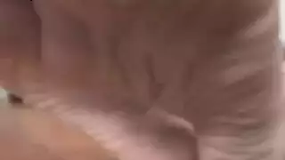 جنس فموي وقذف داخل سمية العاهرة