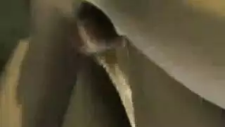 صوفي الجامحة تمارس الجنس بعنف