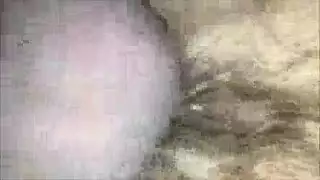 شهرة النيك: تسلق السلم على زبه