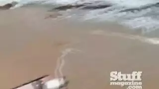 شهوة الحيوانات الإباحية: رجل يأخذ خروف في الحظيرة
