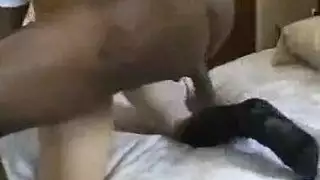 أخذ بذور الحيوانات: تجميع قذف داخلي سادي