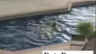 نيك زوجتي العم البيضاء
