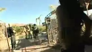 الوجه فوضوي عاري الحمار العبادة