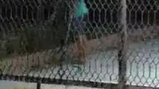 يوم زواج هيجه