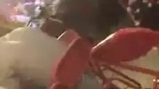 والي منزر