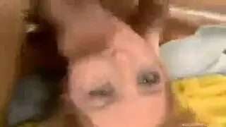 امراءه كبير تنيك مع رجولين في الحديقه