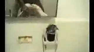 فحل أسود مستسلم يُهيمن عليه من قبل إلهة بيضاء متطلبة