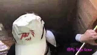 باسكال بشعلان