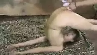 حبل تعادل المراهق يعاقب صديقها