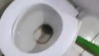 عمل مجموعة مثلي الجنس قرنية