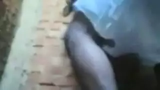 عربي زنق خطبتو وبيفرشها