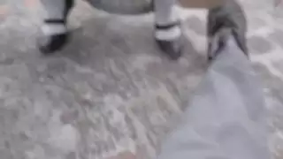 ماراثون جنس خشن: تفتيت فتحات أم مثيرة مع جنس وجه عدواني