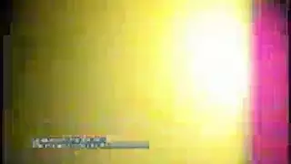 وضعية الكلب البرية مع القذف الداخلي