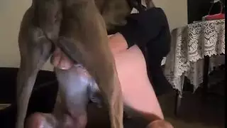 كلب،ينيك،نساء
