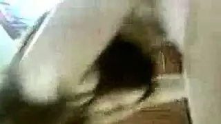 رمله العراقيه