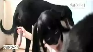 ممحونات كلاب منزليه