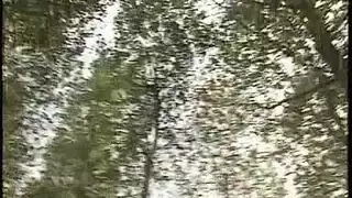فيلم سكسي قديم جدا