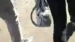 جنس علني قاسي: هولندية ناضجة تأخذ كل شيء خارجاً