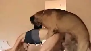 سكس حيوانات كلب ينيك طيز بنتhvfswmmj27ve