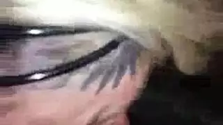 أم مثيرة ترتدي جوارب طويلة تمارس مص وجنس عنيف