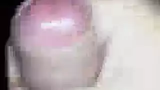 ثنائي دب مثلي: بلع كل قطرة