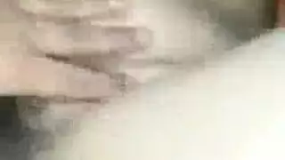 نيك كس مصري مولع