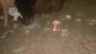 الخوخ تمص قضيبًا ضخمًا صلبًا وهي ترتدي ملابس داخلية حمراء
