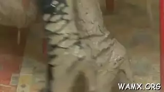 سرقه لصوص