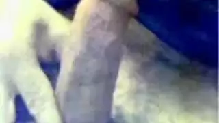 العربية الناضجة تتبلل للنيك القاسي