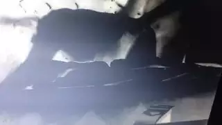 نيك فمها ثم ارتطام كسها