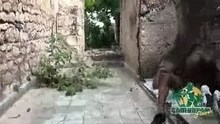 فيلم بورن كامل للتحميل