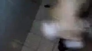 عسكري احتلال خلاعي