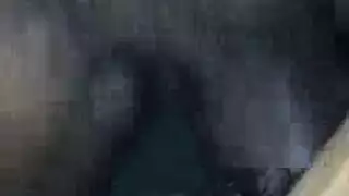 امرأة سوداء تركب الزب