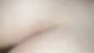 جذرة