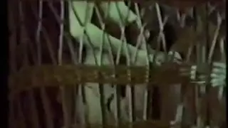 مراهقة ساخنة تتلقى تأديب مهبل قاسي