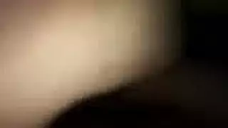 طايز عريضه