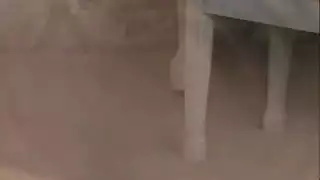 مراهق يمارس الجنس مع أثداء ومؤخرة معلمته الممتلئة