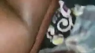 الأبنوس تربية العربية