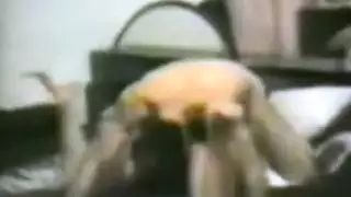 الجنس العربي والجنس الأردني