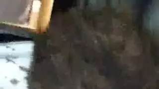 عاهرة سمراء مثارة تتعرض للهجوم من قضيبين أسودين كبيرين في منزل جديد
