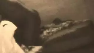 شيميل مغربية إباحية تفتح سروالها لتكشف عن قضيبها المنقوع