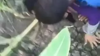 منكبة مصرية سكس