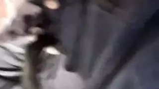 هاردكور ملتهب: جماع عميق وقذف داخلي